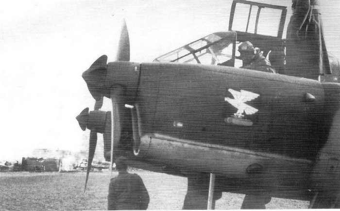 Fw 189 A-2 du 11.(H).Pz. 11.jpg